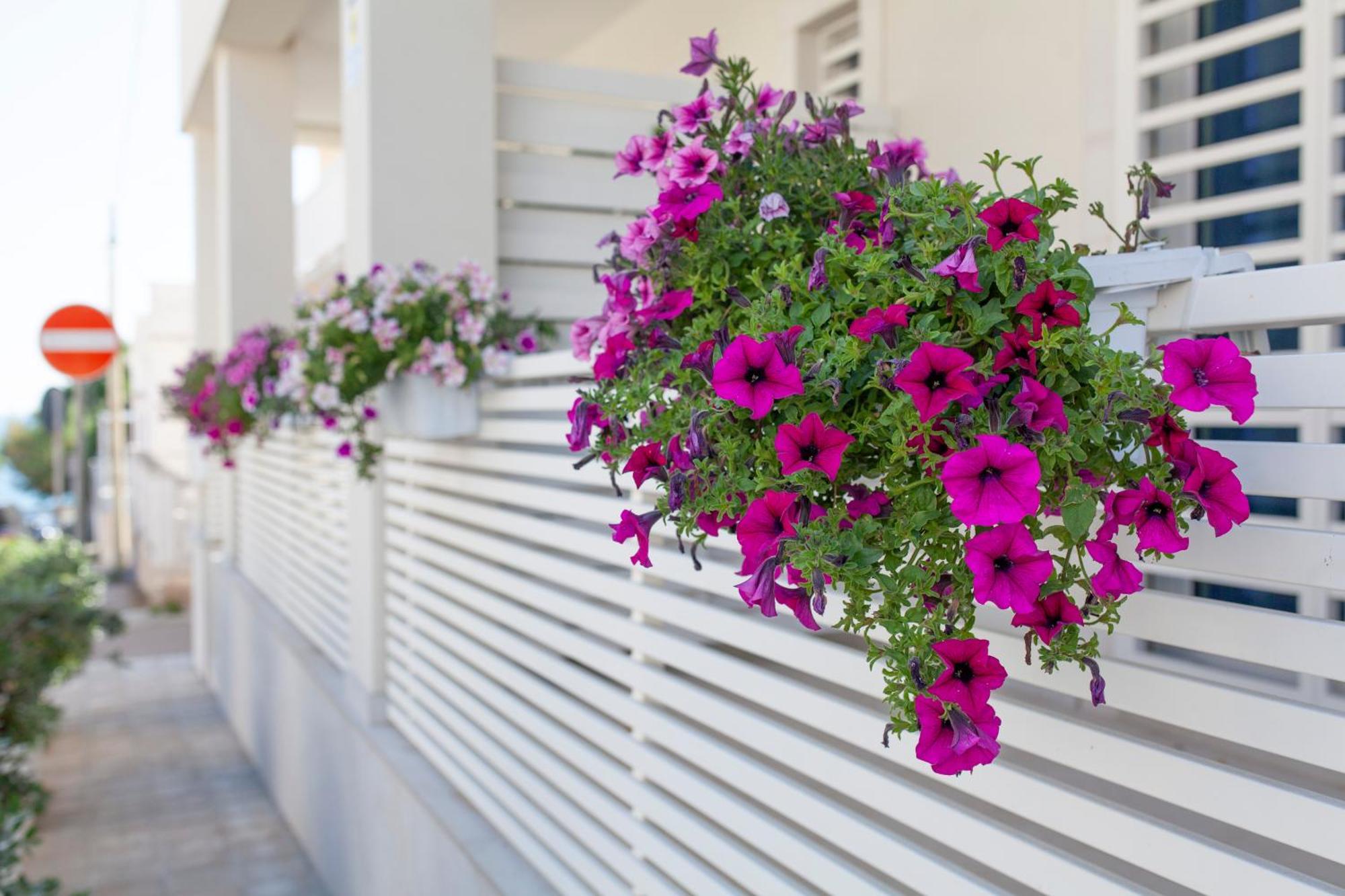 Dimora Nesea Bed & Breakfast Cozze Exterior foto